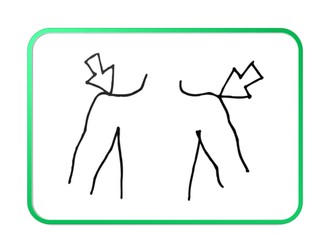 Flashcards face and body