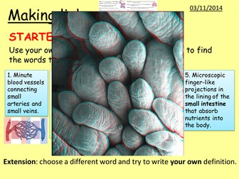 Respiration, digestion, fitness linking/summary