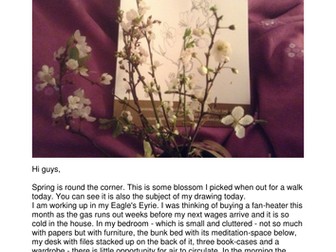 Blog for November 2013 - spring 2014