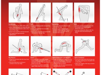 Stretching Exercises & Handling Drills Poster