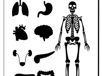 Type 1 Diabetes Primary Science Resources