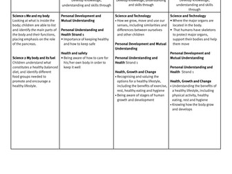 Type 1 Diabetes - Northern Ireland Curriculum