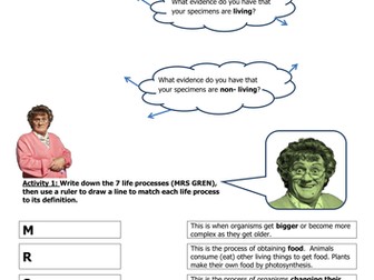 7 Life Processes ft. brine shrimps @ELSS_Biology