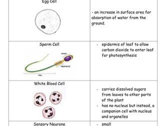 Specialised Cells Mix and Match
