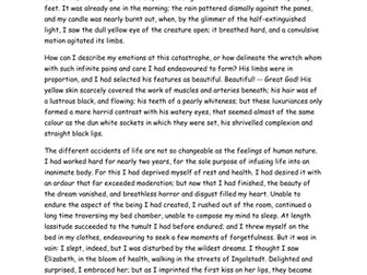 Reading Comprehension - Frankenstein Chapter 5