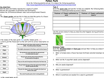 Web activity: Reproduction in flowering plants