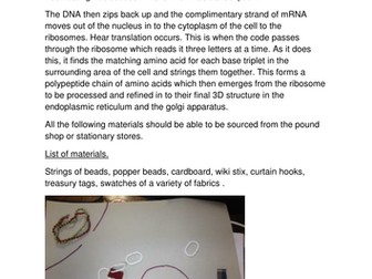 Protein Synthesis Model