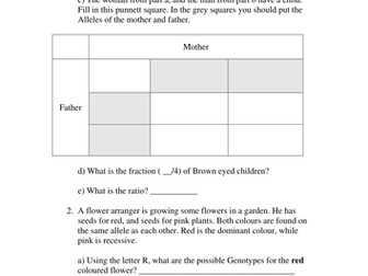 Inheritance Crosses and Pedigree Questions