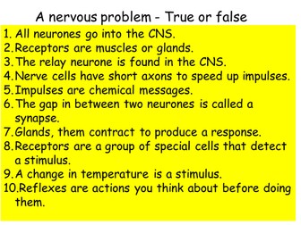 Reflex arc and summary of the nervous system