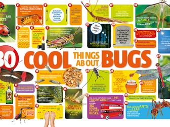30 Cool Things About Bugs