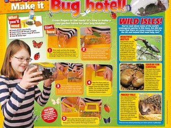 Making a Bug Hotel