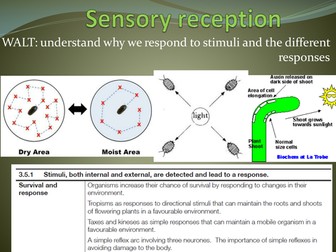 AQA Response to stimuli introduction