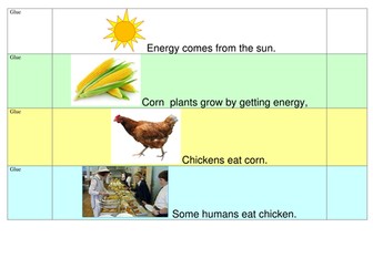 Food chain activity sheet