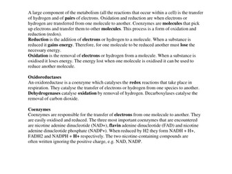 ATP - correct the mistakes
