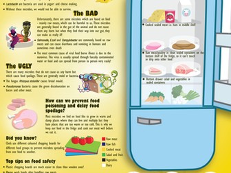 e-Bug How clean is your kitchen Poster