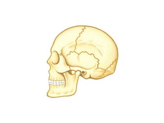 Joint Types and Definitions