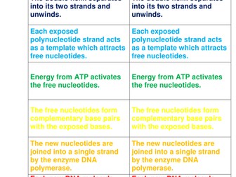 Card sort race activity (revison or plenary)