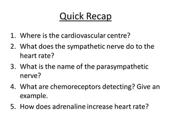 Cardiovascular system