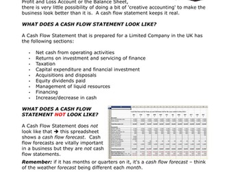 CASH FLOW STATEMENTS
