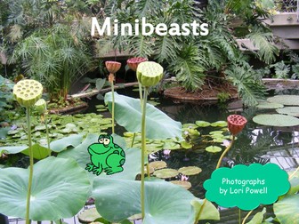 Minibeast slideshow