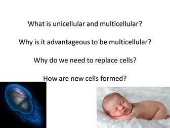 Mitosis & Meiosis PPT OCR gateway B3