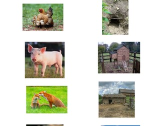 Match animals to their homes