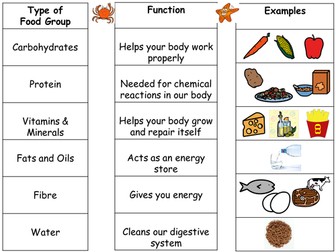 Intro to Food Groups and differentiated worksheets