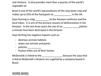 Cattle Ranching in the Amazon Rainforest