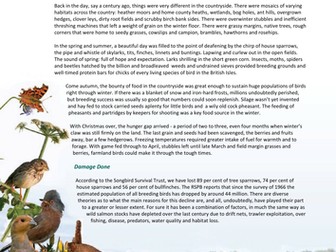 Action Countryside - Silent Dawn