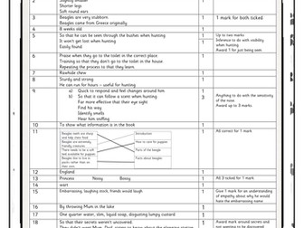 Year 2 reading comprehension level 3 test