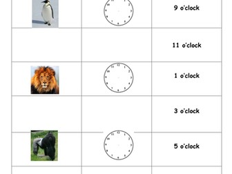 Zoo animal feeding times - differentiated