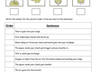 Breathing and gas exchange