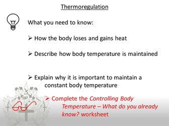 Thermoregulation