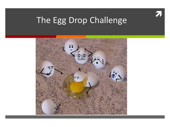 Egg Drop Challenge