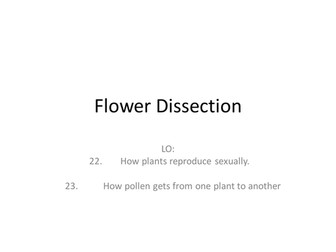 Flower Dissection