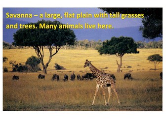 KENYA DISPLAY RESOURCES