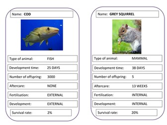 Animal reproduction strategies