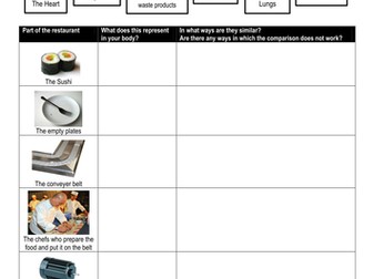 Circulatory system - Sushi analogy @ELSS_Biology