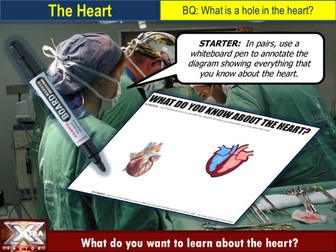 Heart structure circus & dissection @ELSS_Biology