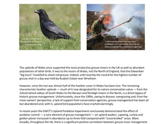 Action Countryside -Wales's crisis of conservation