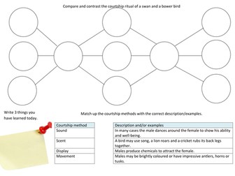 Courtship methods