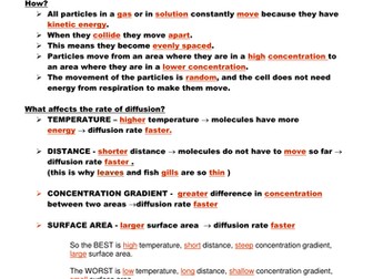 Diffusion Revision fill in the blank