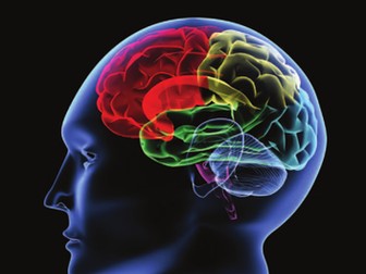 Health and Wellbeing