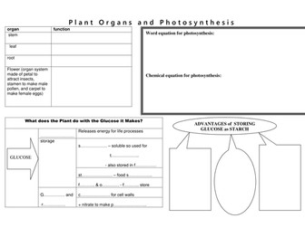 Plant Organs and Photosynthesis summary