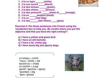 Adjective endings worksheet