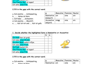 Nominative and Accusative practice