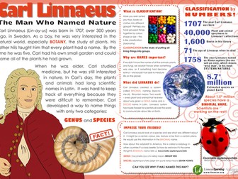 Linnaeus Poster