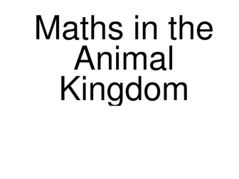Maths in the animal kingdom display