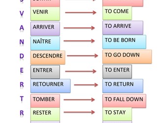 MRS Van Der Tramp display