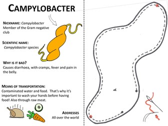 Campylobacter: Crafty Critter Pattern